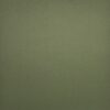 light-khaki